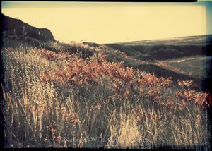 Image description is not available for PHO-4-W689-1252